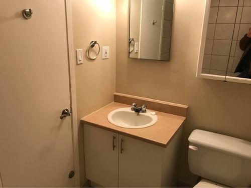 Appartement de 1 chambre à louer à Gatineau — photo 5