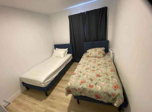 Appartement de 2 chambres à louer à Québec - La Cité-Limoilou — photo 13