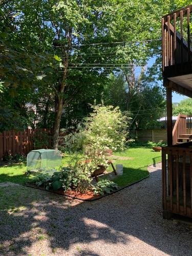 Appartement de 2 chambres à louer à Québec - La Cité-Limoilou — photo 16
