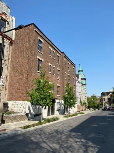 Studio à louer à Montreal - Le Plateau-Mont-Royal — photo 9