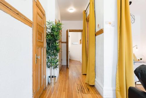 1 bedroom apartment for rent in Montreal - Le Plateau-Mont-Royal — photo 3