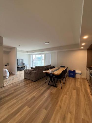 1 bedroom apartment for rent in Lévis — photo 3