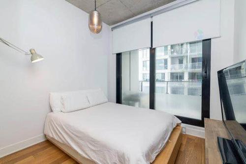 1 bedroom apartment for rent in Montreal - Ville-Marie — photo 12