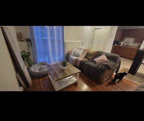 Appartement de 1 chambre à louer à Gatineau — photo 4
