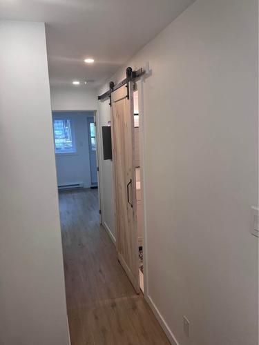 1 bedroom apartment for rent in Montreal - Rosemont–La Petite-Patrie — photo 3