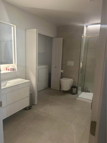 1 bedroom apartment for rent in Lévis — photo 4