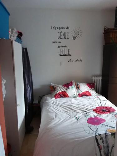 Appartement de 1 chambre à louer à Lévis — photo 9