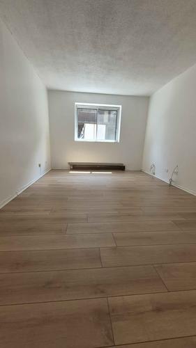Appartement de 1 chambre à louer à Montreal - Villeray–Saint-Michel–Parc-Extension — photo 4
