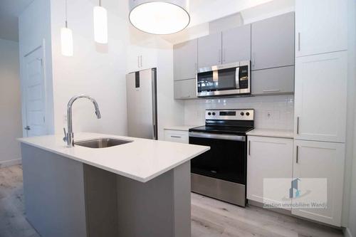 Appartement de 1 chambre à louer à Gatineau — photo 5
