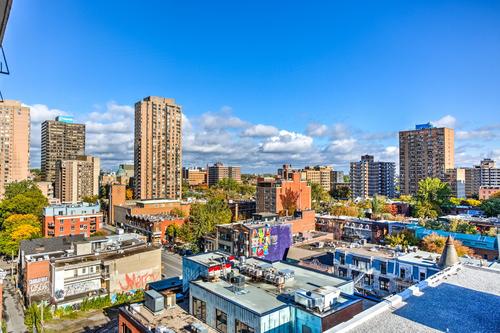 Studio à louer à Montreal - Le Plateau-Mont-Royal — photo 48