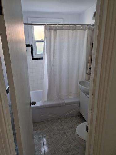 Appartement de 2 chambres à louer à Montreal - Rosemont–La Petite-Patrie — photo 8