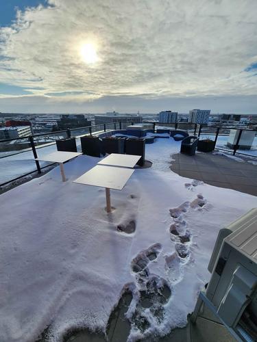 Appartement de 1 chambre à louer à Montreal - Côte-des-Neiges–Notre-Dame-de-Grâce — photo 16