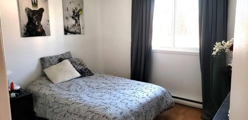2 bedrooms apartment for rent in Lévis — photo 4
