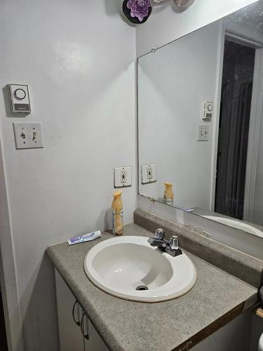 2 bedrooms apartment for rent in Gatineau — photo 4