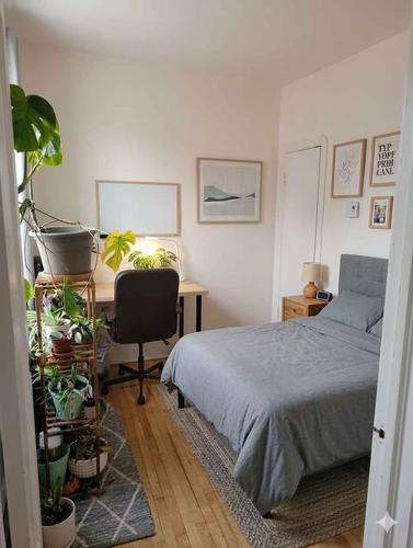 Appartement de 2 chambres à louer à Québec - La Cité-Limoilou — photo 5