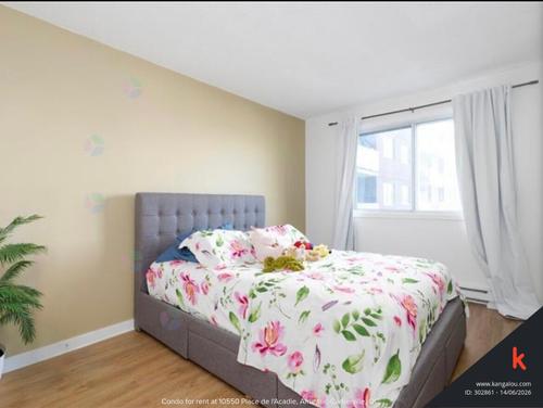 1 bedroom apartment for rent in Montreal - Ahuntsic-Cartierville — photo 3