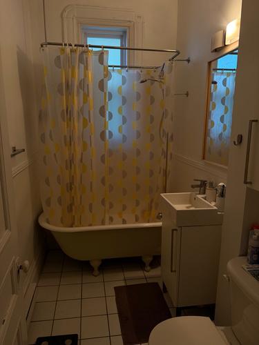 2 bedrooms apartment for rent in Montreal - Le Plateau-Mont-Royal — photo 9