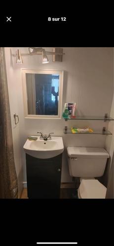 Studio à louer à Lévis — photo 4