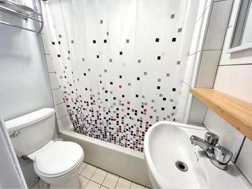 1 bedroom apartment for rent in Montreal - Rosemont–La Petite-Patrie — photo 6