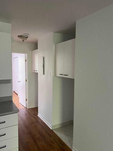 1 bedroom apartment for rent in Montreal - Le Plateau-Mont-Royal — photo 7