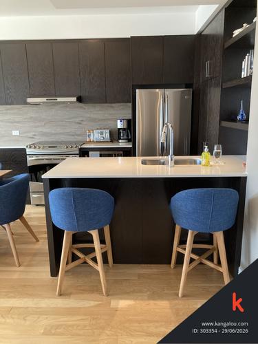 1 bedroom apartment for rent in Montreal - Rosemont–La Petite-Patrie — photo 8