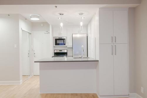Appartement de 1 chambre à louer à Montreal - Le Plateau-Mont-Royal — photo 3
