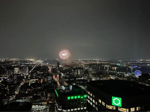 Appartement de 1 chambre à louer à Montreal - Ville-Marie — photo 18