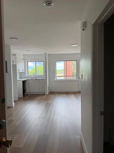 Appartement de 1 chambre à louer à Montreal - Rosemont–La Petite-Patrie — photo 2