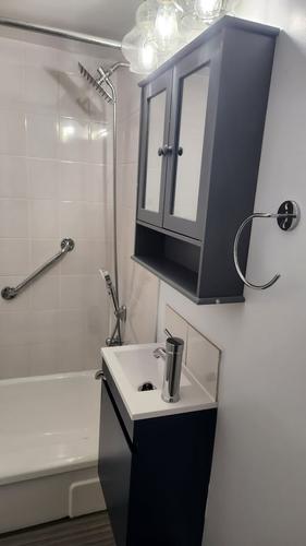 Appartement de 1 chambre à louer à Montreal - Rosemont–La Petite-Patrie — photo 2