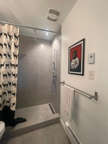 Appartement de 1 chambre à louer à Montreal - Villeray–Saint-Michel–Parc-Extension — photo 9