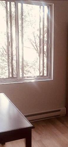 5 bedrooms apartment for rent in Montreal - Le Plateau-Mont-Royal — photo 9