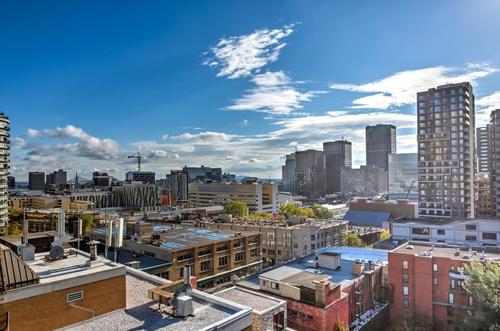 1 bedroom apartment for rent in Montreal - Le Plateau-Mont-Royal — photo 23