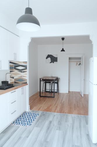 Appartement de 2 chambres à louer à Montreal - Rosemont–La Petite-Patrie — photo 9