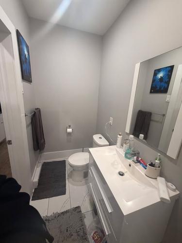Appartement de 2 chambres à louer à Montreal - Rivière-des-Prairies–Pointe-aux-Trembles — photo 10