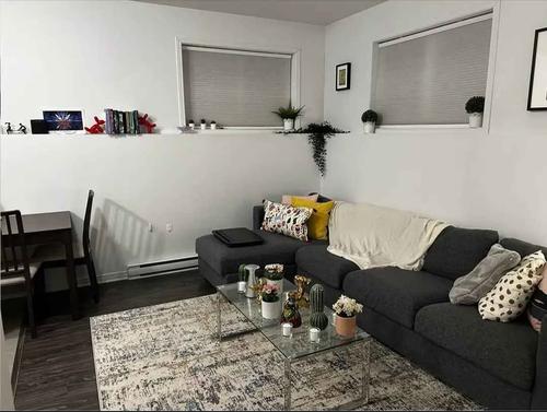 Appartement de 1 chambre à louer à Gatineau — photo 15