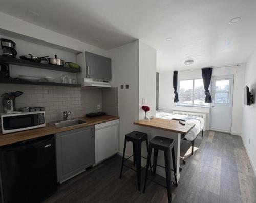 1 bedroom apartment for rent in Montreal - Le Plateau-Mont-Royal — photo 4