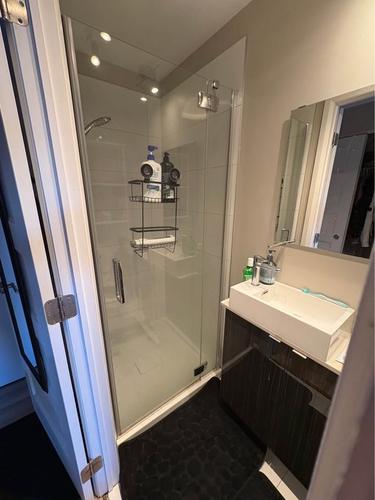 Studio for rent in Québec - Sainte-Foy–Sillery–Cap-Rouge — photo 9
