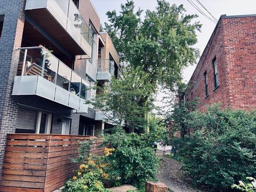 1 bedroom apartment for rent in Montreal - Le Plateau-Mont-Royal — photo 2