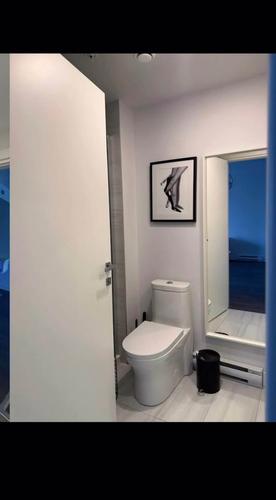 1 bedroom apartment for rent in Laval — photo 9