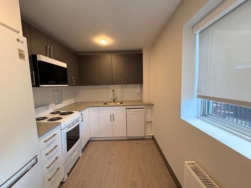 1 bedroom apartment for rent in Montreal - Rosemont–La Petite-Patrie — photo 2