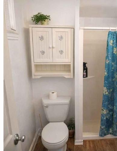 Studio for rent in Montreal - Le Plateau-Mont-Royal — photo 2