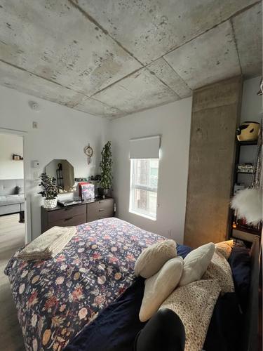 Appartement de 1 chambre à louer à Montreal - Rosemont–La Petite-Patrie — photo 3