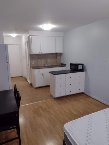 3 bedrooms apartment for rent in Montreal - Le Plateau-Mont-Royal — photo 16