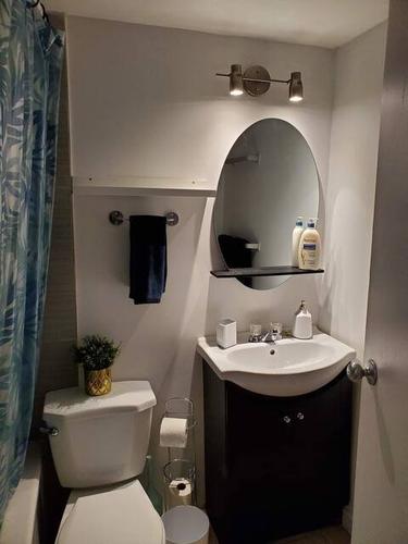 1 bedroom apartment for rent in Gatineau — photo 5