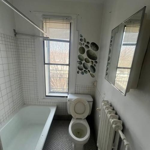 Studio for rent in Montreal - Le Plateau-Mont-Royal — photo 8