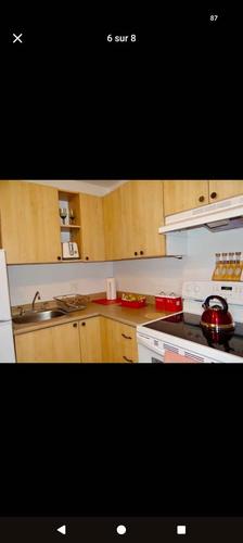 Appartement de 2 chambres à louer à Québec - La Cité-Limoilou — photo 4