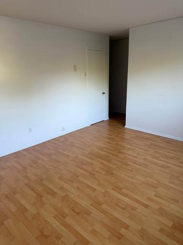 1 bedroom apartment for rent in Gatineau — photo 3