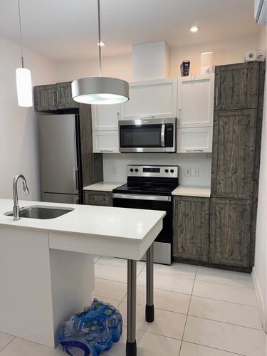 Appartement de 1 chambre à louer à Gatineau — photo 4