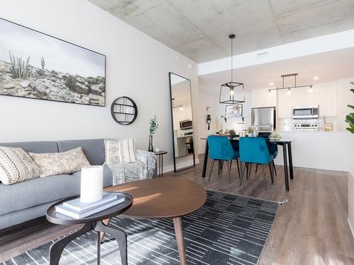 1 bedroom apartment for rent in Montreal - Rosemont–La Petite-Patrie — photo 6