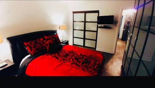 Appartement de 3 chambres à louer à Longueuil — photo 14